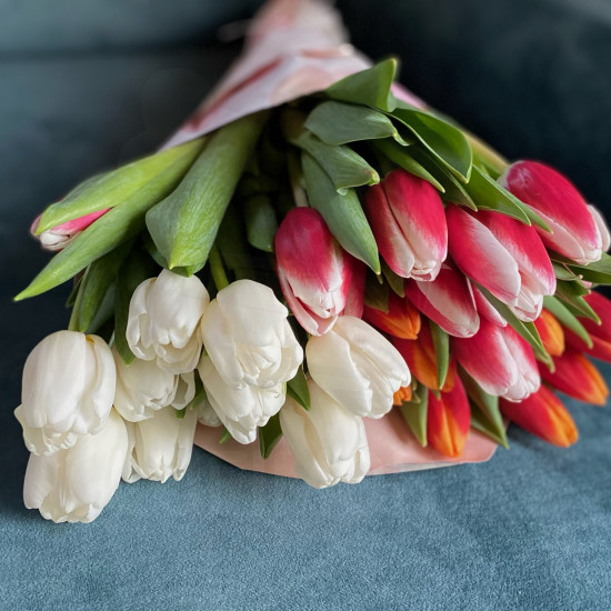 Tulipános varázslat