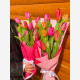 Tulipános varázslat