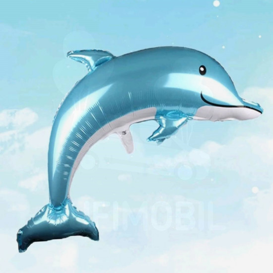 Delfin cuki